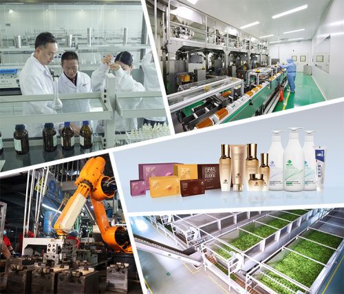 理想華萊兩項茶葉加工設(shè)備技術(shù)獲國家實用新型專利授權(quán)